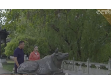 無縫鋼管大運(yùn)河項(xiàng)目鐵牛